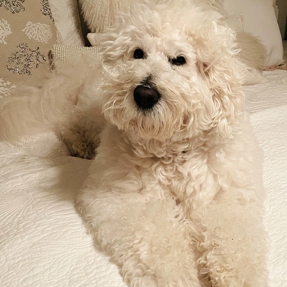 Meet The Vice President π - Picture 9 of 17